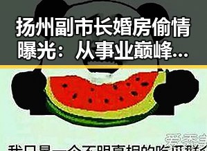 扬州副市长婚房偷情曝光：从事业巅峰到家庭危机的反差人生